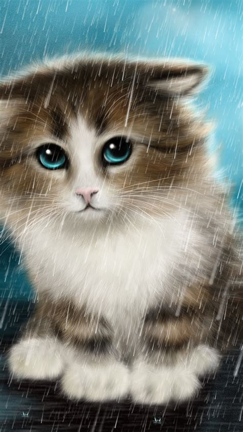 wallpaper cute cat innocent animals