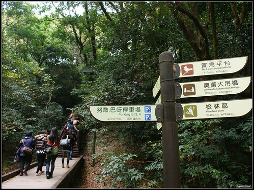 DSC03596