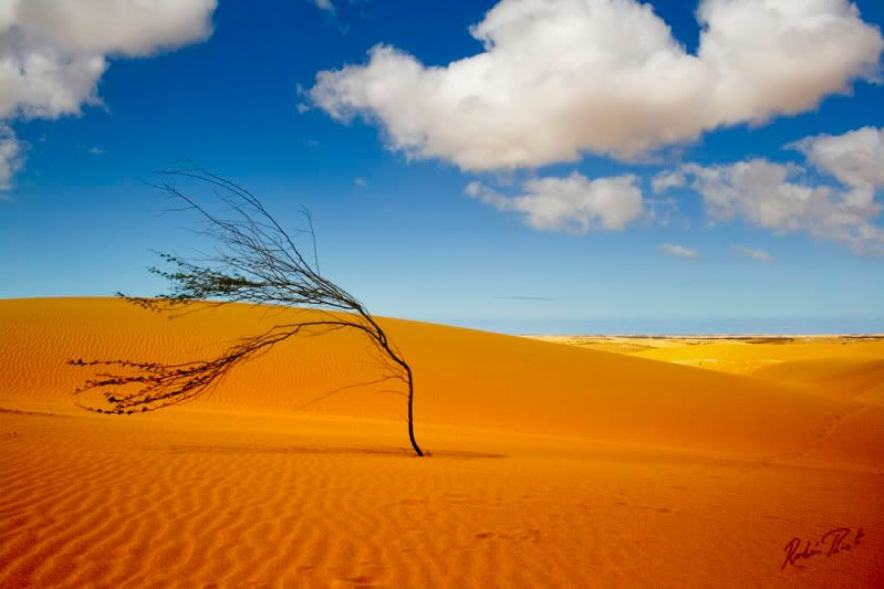 desierto,desert