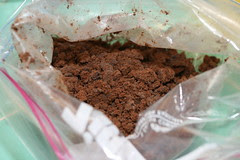Girl Scout Thin Mint Chocolate Cupcakes