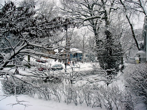 Snow