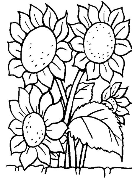 Webmay 10, 2024 · each free printable pdf features drawings of beautiful flowers including: print download some common variations of the flower coloring pages