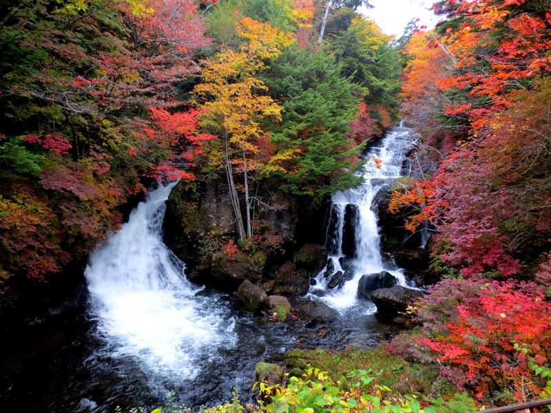 日光で紅葉狩り お雑煮 湯滝 戦場ヶ原 竜頭の滝 絶景ハイキング 栃木県 トラベルjp 旅行ガイド