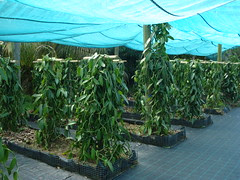 reunion_2012 (47)