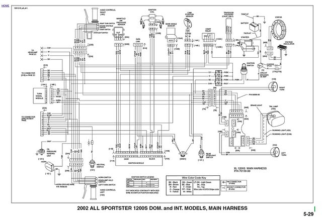 Evo Sporty Rewire (Reduced to Essentials Only)