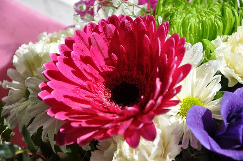 Flowers in memory of Biko from our Vet-5