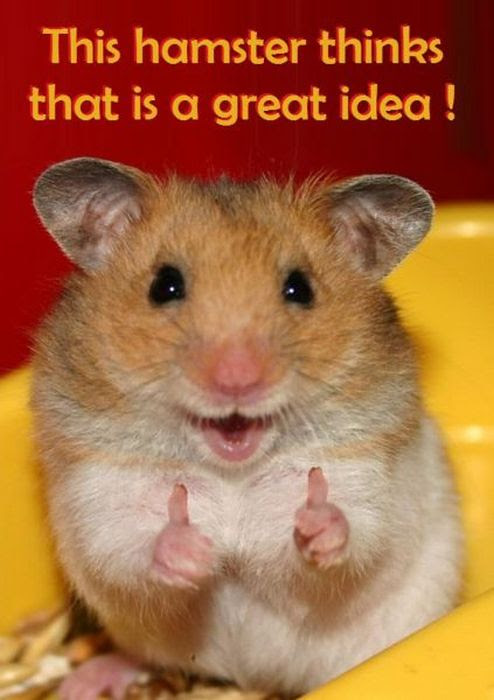 Image result for great idea hamster