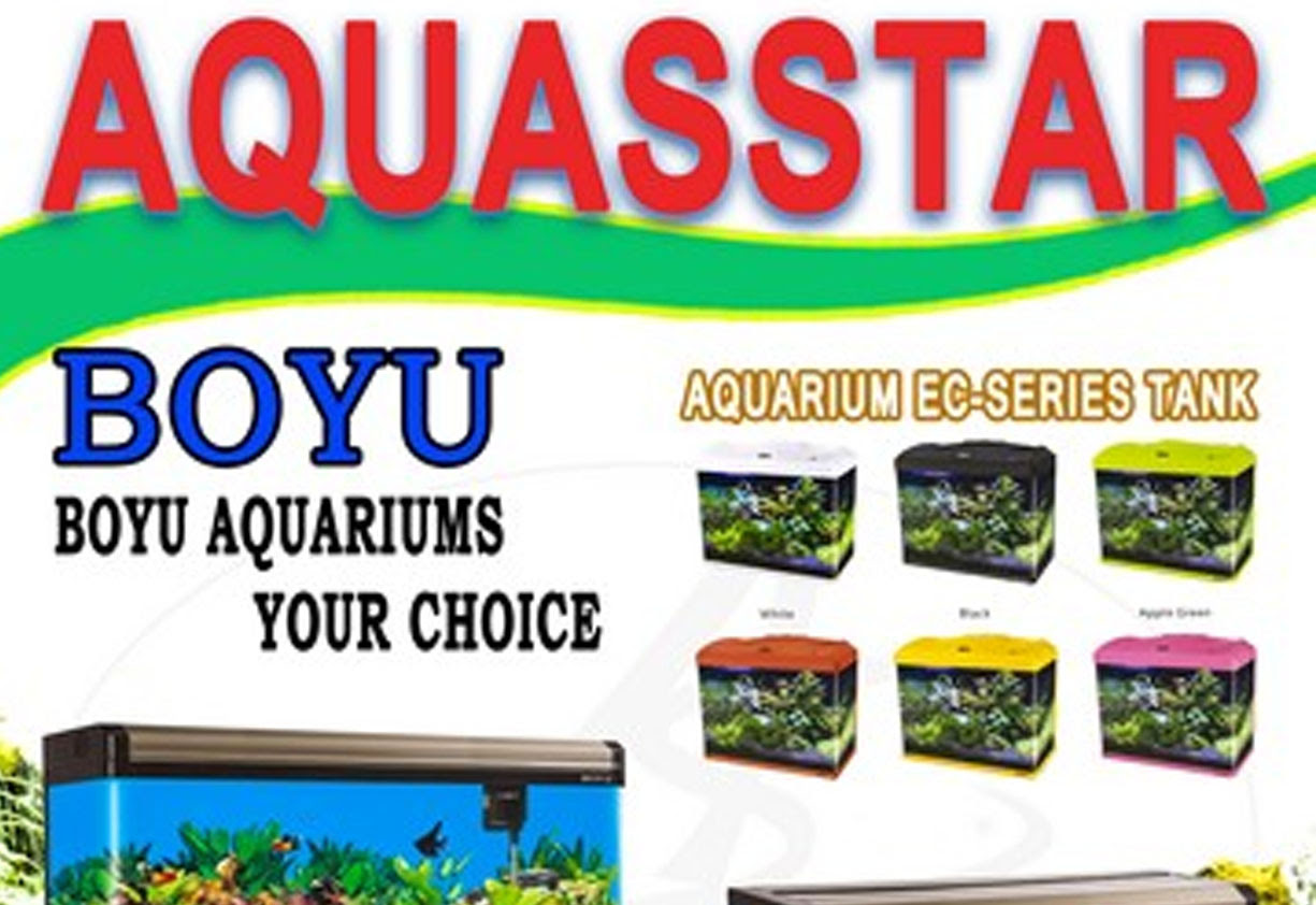 Boyu Aquasstar