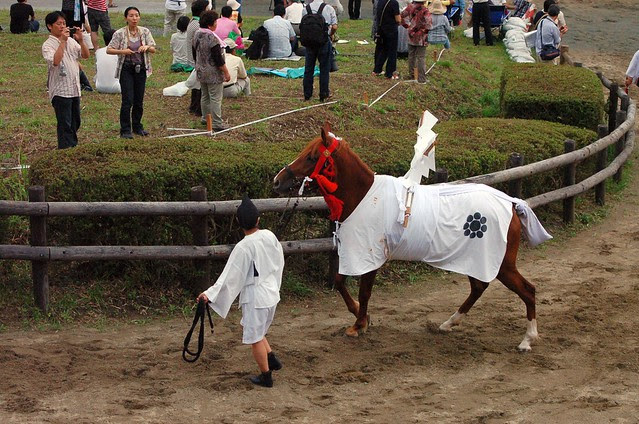 相馬野馬追 宵乗競馬 Soma-Nomaoi Festival 2013