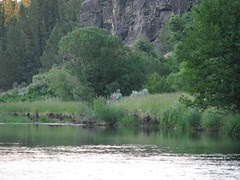 fly fishing the evening hatch blitzen2
