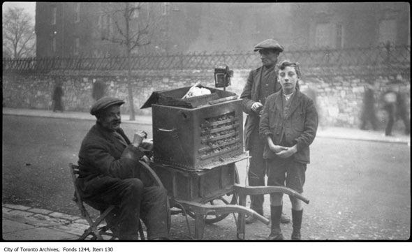 toronto archive chestnut