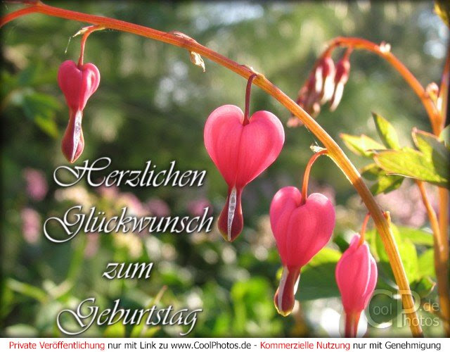 glueckwuensche geburtstag