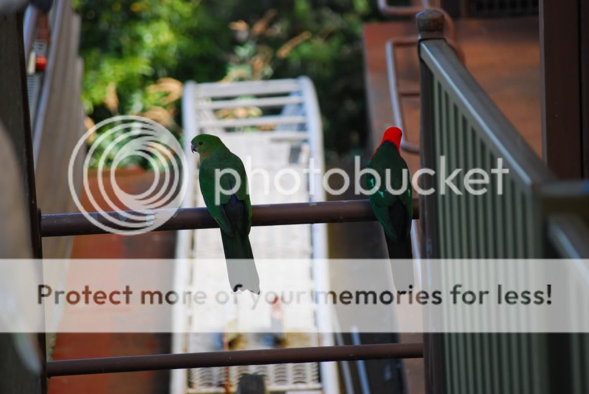 Photobucket - Video and Image Hosting