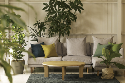 観葉植物と小物でナチュラル空間 色の濃淡でワンランク上のコーディネートを Living和歌山