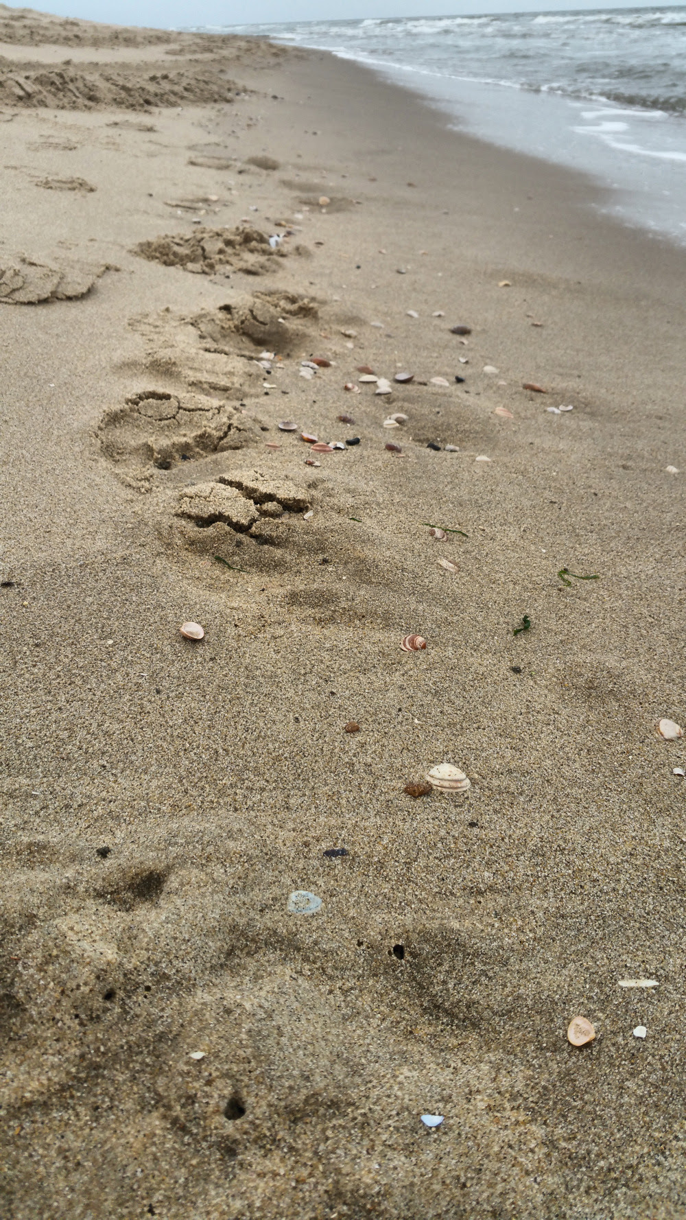 Holland Den Helder travelblog