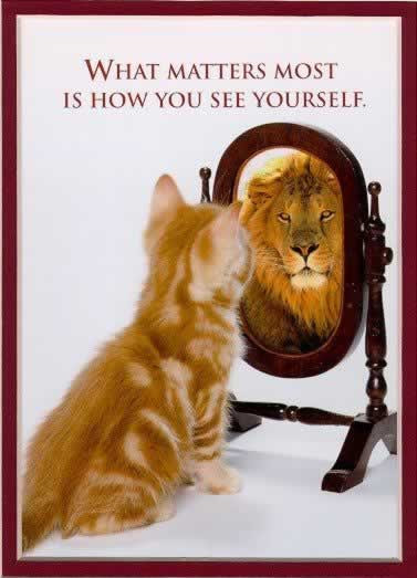 funny sayings or quotes. funny sayings