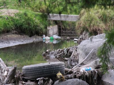 principales rios de colombia. Ríos: Los principales Ríos