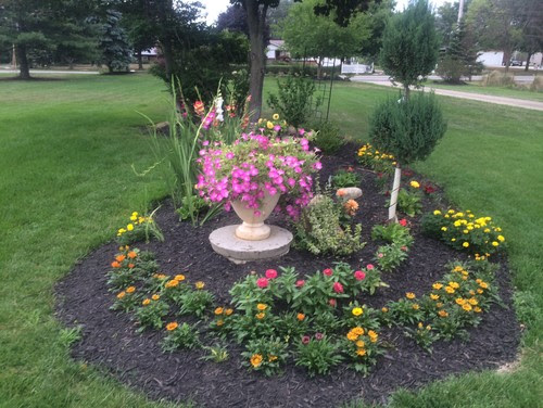 Landscaping Around Septic Tank in Center Front Yard