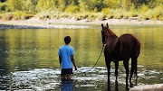🎬La route sauvage | Accès instantané oR Gratuit Streaming [V&F]
+FraNçaiS+