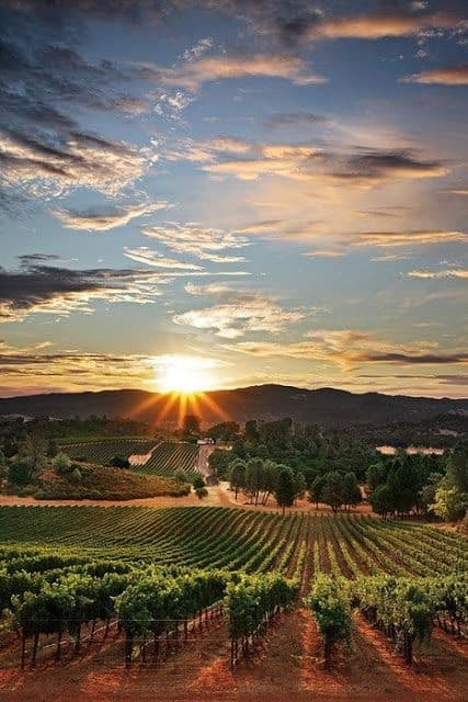 Napa Valley