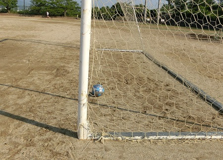 実際に検証してみました サッカーにおいて ボールがラインを越えたかどうかを判定する ビ グルとサッカー セレッソ大阪 応援日記