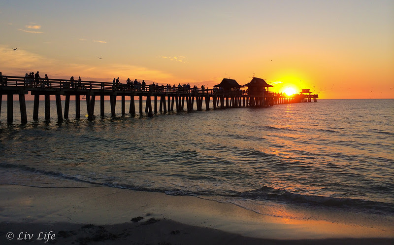 Pier at Naples Florida