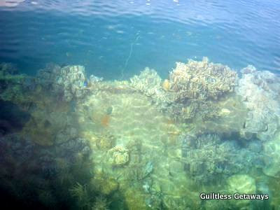 coron.jpg