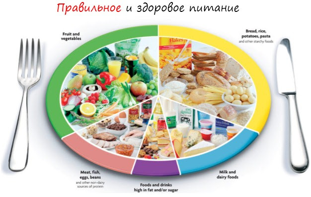proper and healthy diet