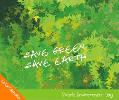 World Environment Day