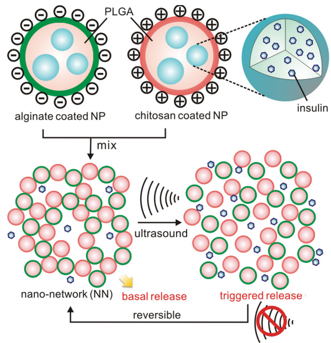 Insulin delivery system