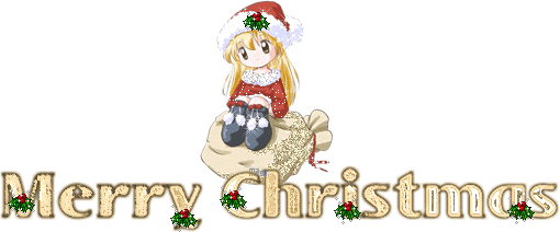 Barre de séparation Noel
