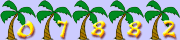 Website Counters