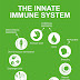 The Importance of Immune Function