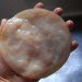 Kombucha tea, kombucha starter, kombucha SCOBY, SCOBY, kombucha mother
