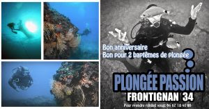 Debuter Plongee Passion