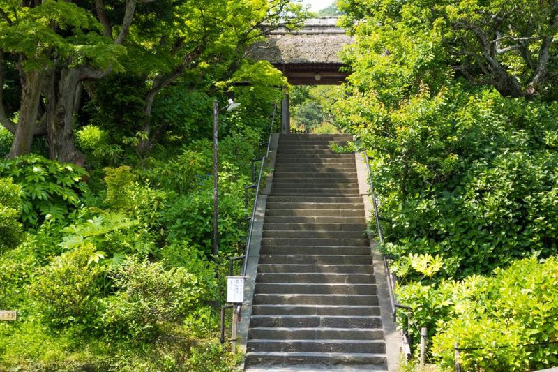 古都の風を体感 北鎌倉駅 鎌倉駅間の寺院を歩いて周るモデルコース 神奈川県 トラベルjp 旅行ガイド
