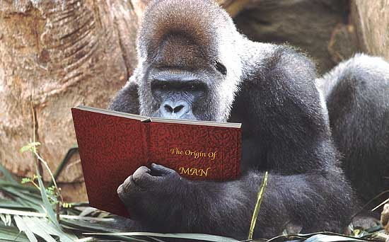  Il dibattito sull'evoluzionismo darwiniano