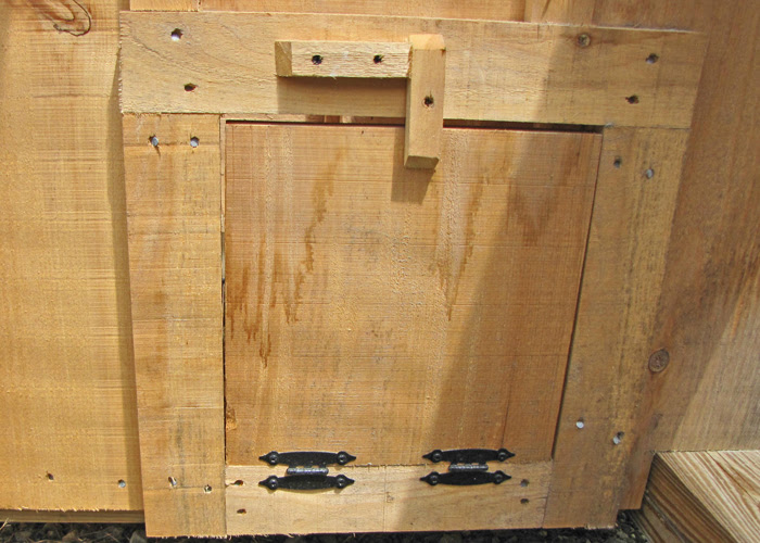 Chicken Coop Door with drop down ramp