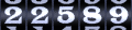 Web Counter