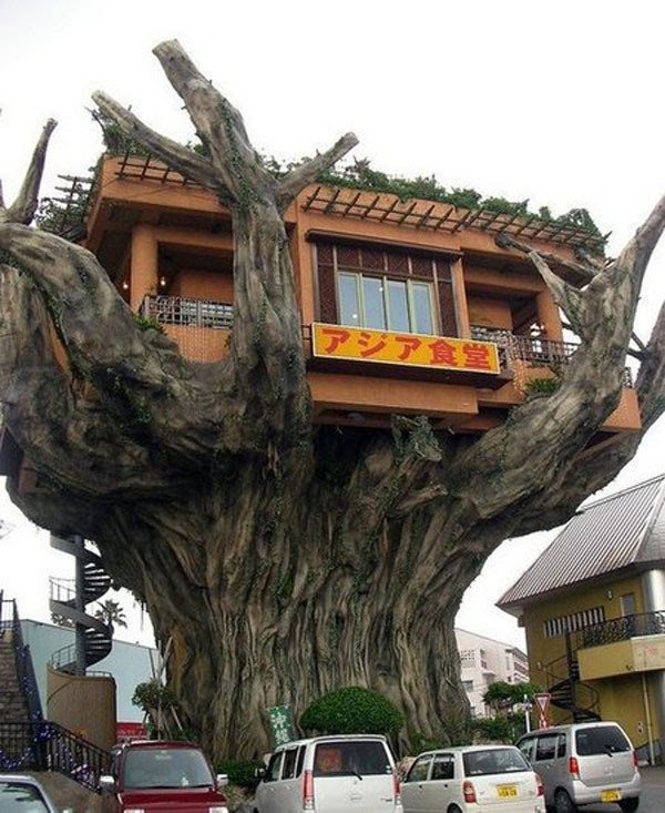 Unique And Creative Tree Houses