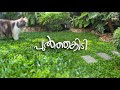 വീട്ടുമുറ്റത്തൊരു പുല്‍ത്തകിടി ഒരുക്കുന്നത് കാണാം