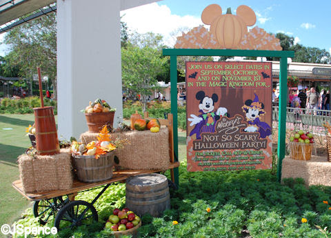 magic kingdom map 2009. Magic Kingdom Entrance