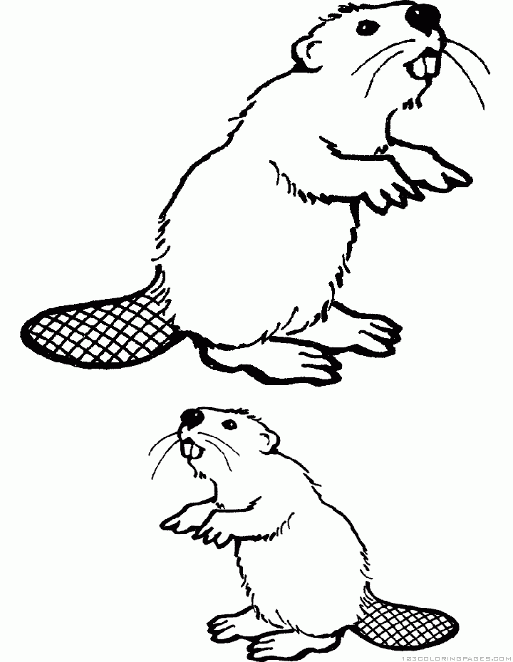 Beaver Coloring Pages - Part 4