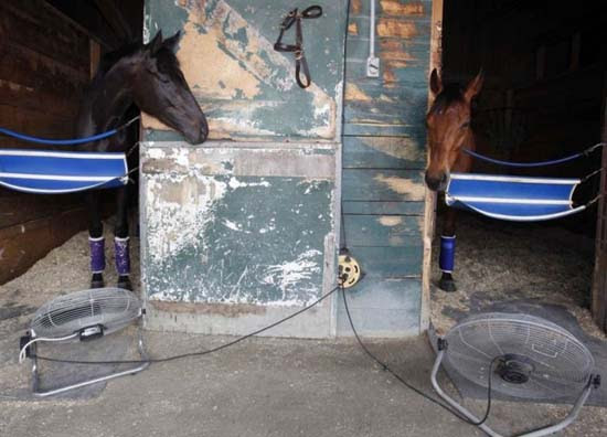 Καλοκαίρι (7)