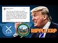 How To Buy Xrp In New York 2021 : Best Street Style at New York Fashion Week Spring 2021 in ... - After selecting the offer, click the 'buy now' button and then enter your xrp wallet address.
