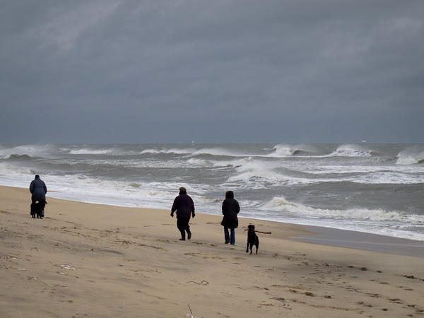 Edgartown News