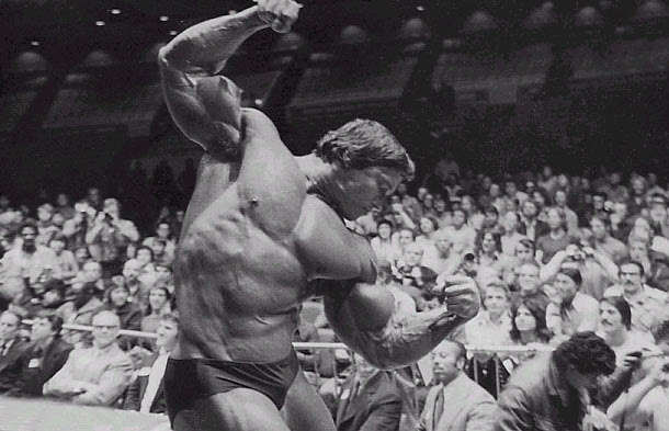 arnold schwarzenegger workout chart. arnold schwarzenegger workout