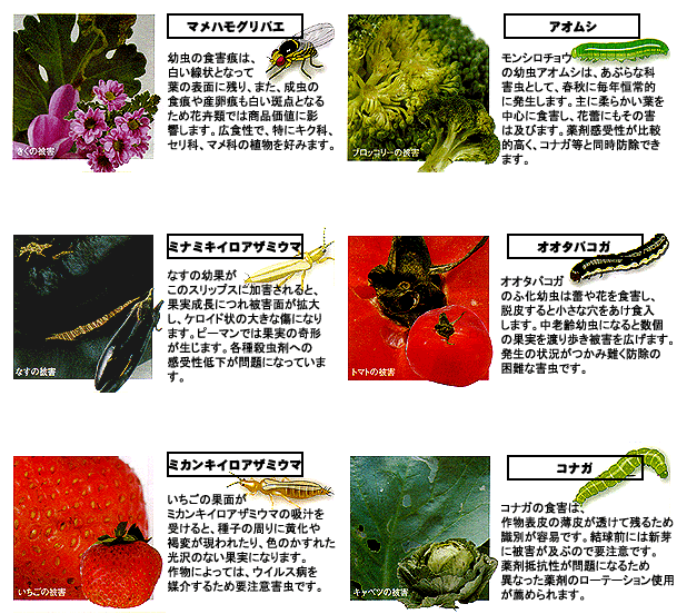 スピノエース顆粒水和剤