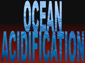 OCEAN-ACIDIFICATION