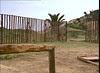 102 Matilda is free